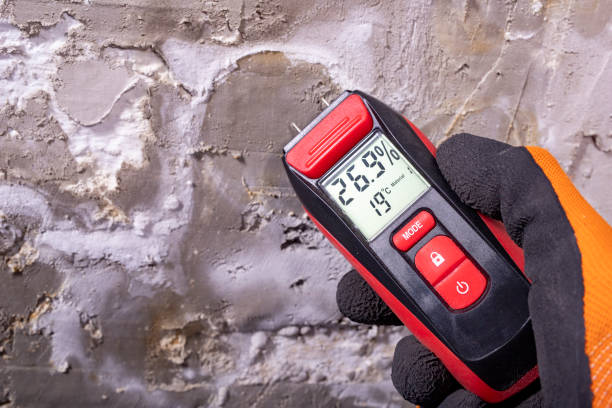 Best Mold Remediation  in Benson, UT