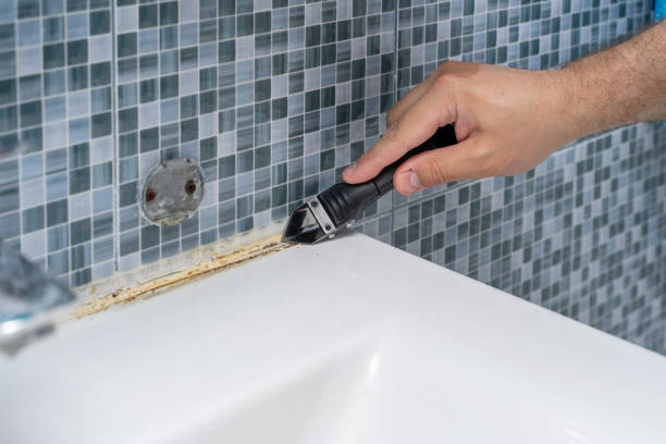 Mold Removal Process in Benson, UT