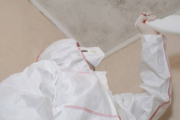Best Commercial Mold Removal  in Benson, UT