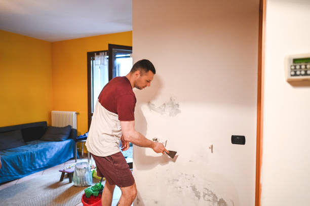 Reliable Benson, UT Mold Removal Solutions